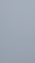 Solid light gray colour swatch
