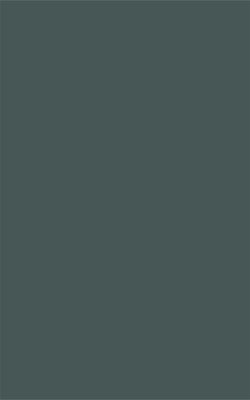 Zurfiz supermatt kombu green colour swatch.